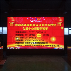 青海省澤庫縣藏族自治區畜牧業(yè)會(huì )展中心55寸液晶拼接屏項目